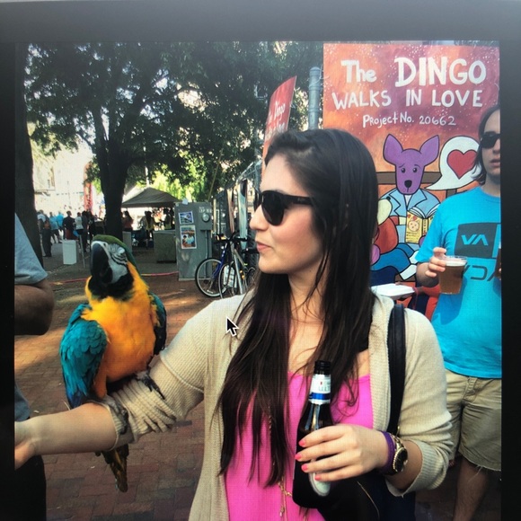 Meet your Posher, Marley - Picture 1 of 1